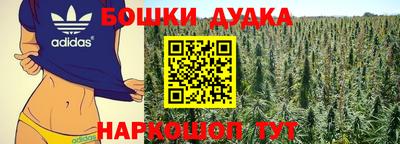 молекула духа Пугачёв