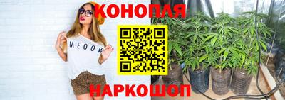 молекула духа Пугачёв