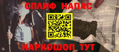 молекула духа Пугачёв
