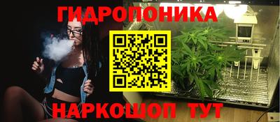 молекула духа Пугачёв