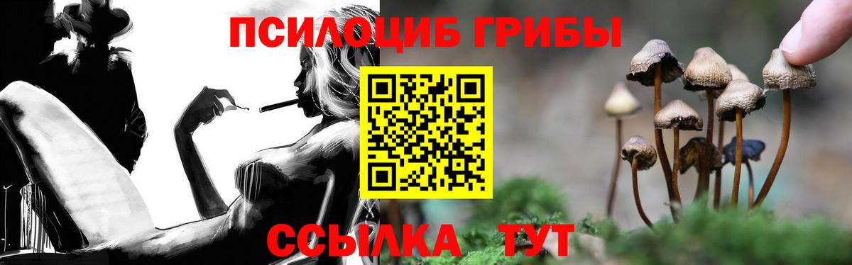 Псилоцибиновые грибы мухоморы Северобайкальск