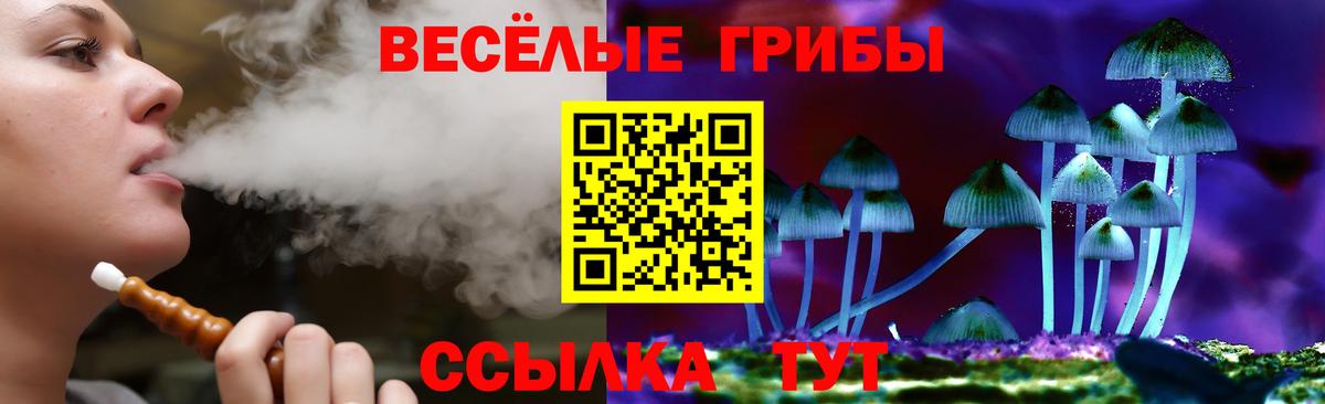 Северобайкальск  Галлюциногенные грибы Magic Shrooms  Вход с VPN 